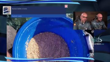 [ID: 60xFhw5Qcws] Youtube Automatic