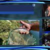 [ID: e5m7ZAP4JQ8] Youtube Automatic