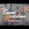 [ID: FzSKpl_ytSI] Youtube Automatic