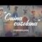 [ID: g9D5yUnhq1w] Youtube Automatic