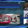 [ID: N-fJFS4BOds] Youtube Automatic