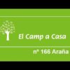 [ID: 99nQs49sPOQ] Youtube Automatic